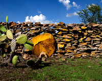 Mexico Color